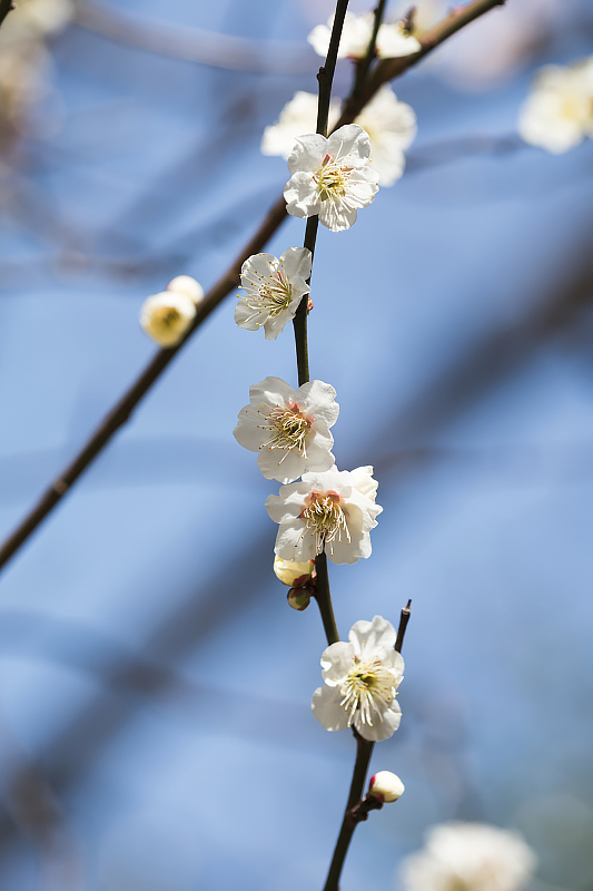 image0244