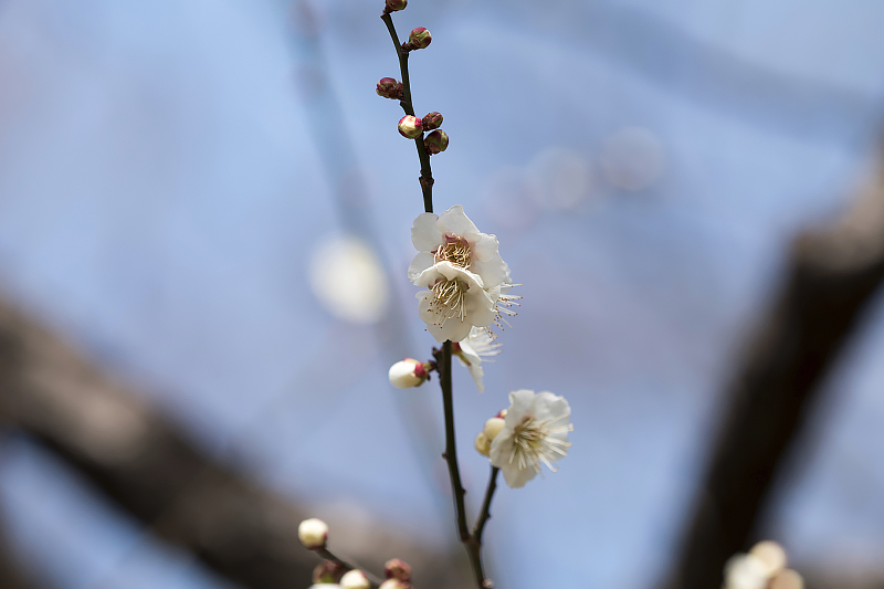 image0264