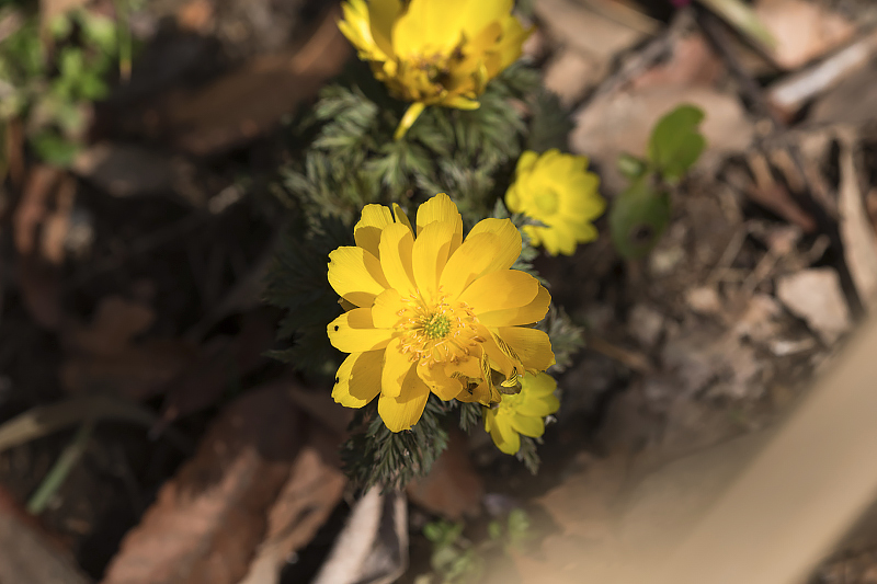 image0267