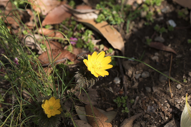 image0269