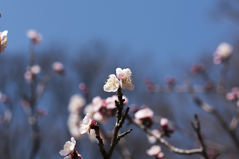 image0273