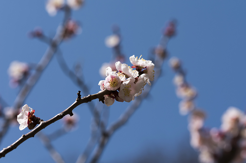 image0276