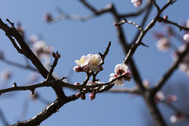 image0277