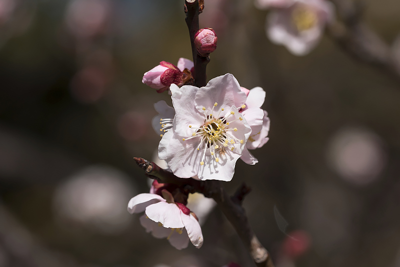 image0292