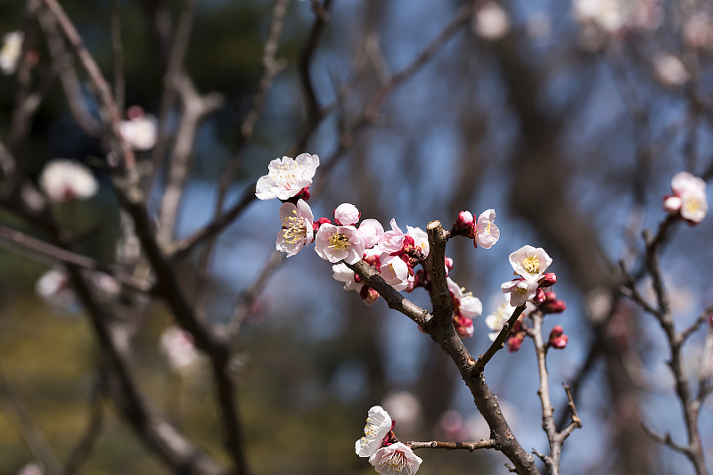 image0313
