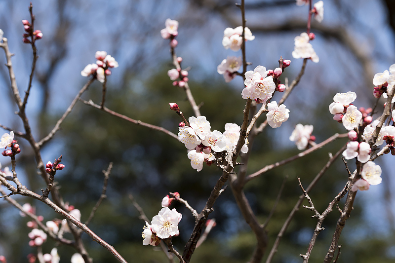 image0316