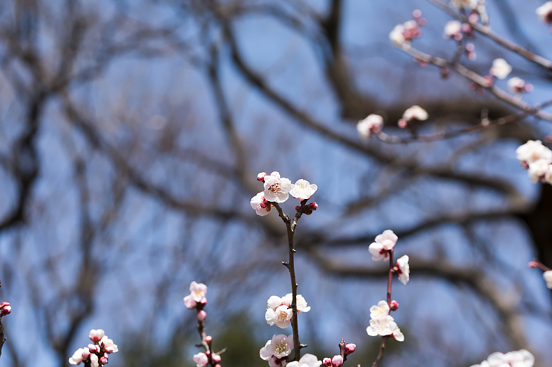image0319