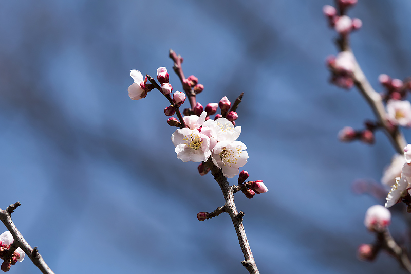 image0326