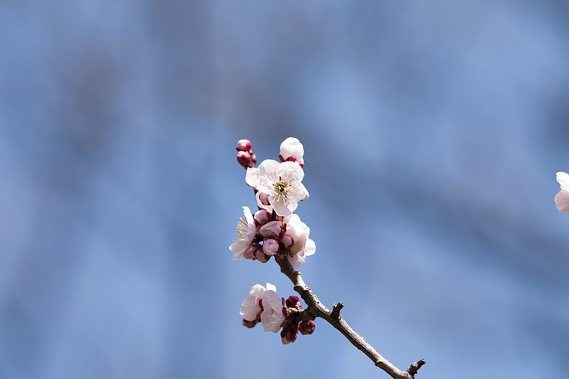 image0331