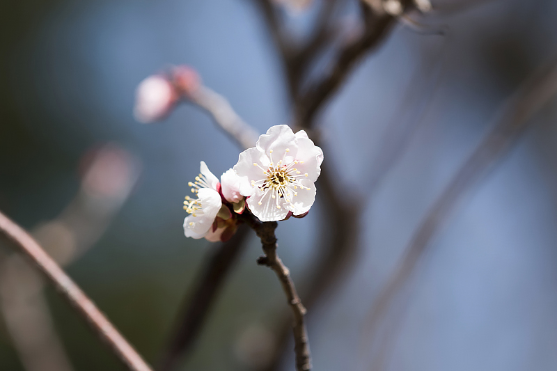 image0332