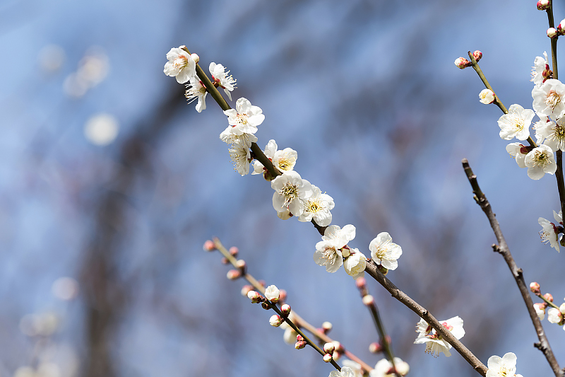 image0333