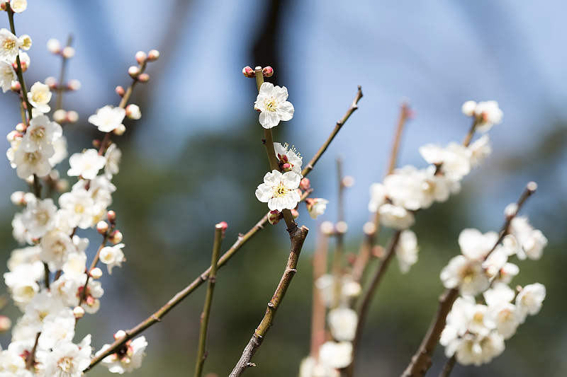 image0334