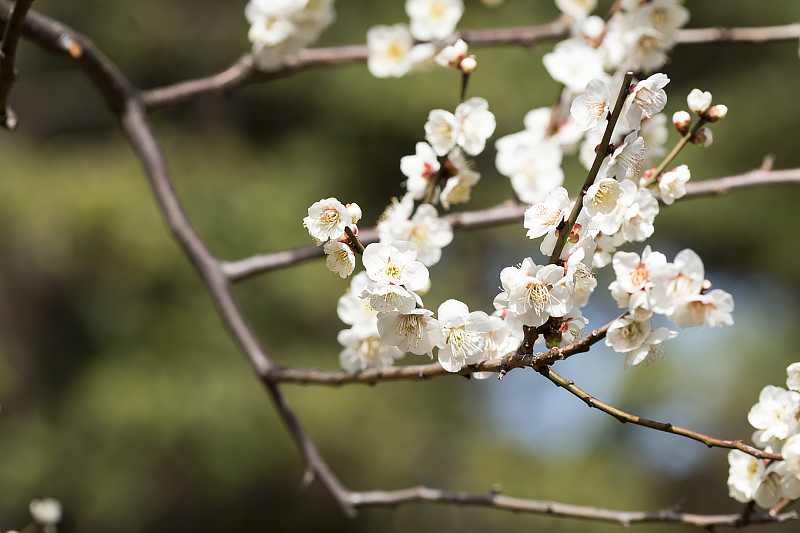 image0338