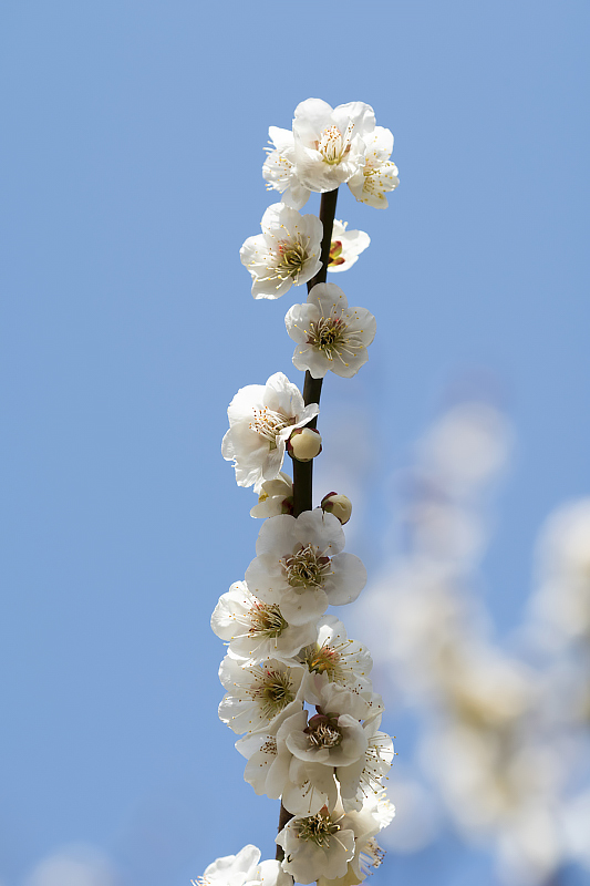 image0347