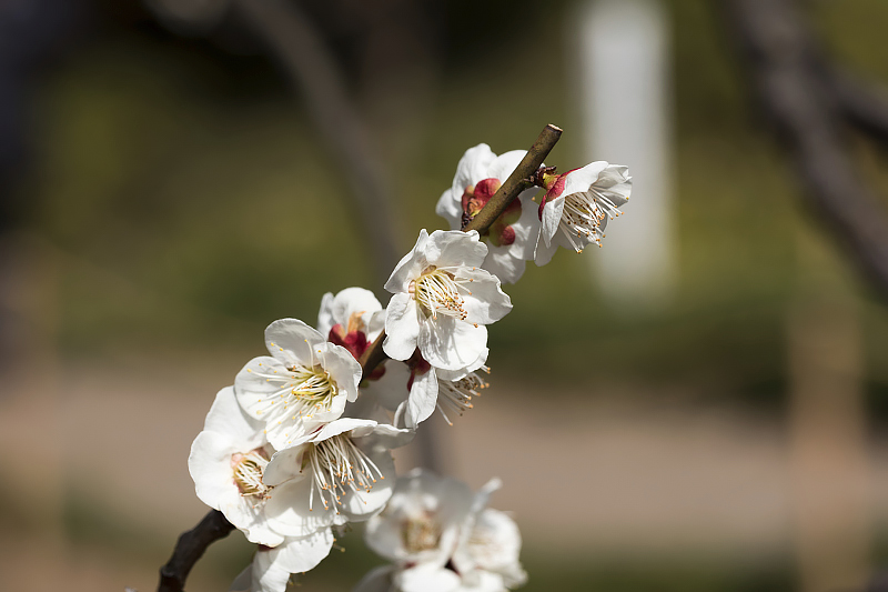image0358