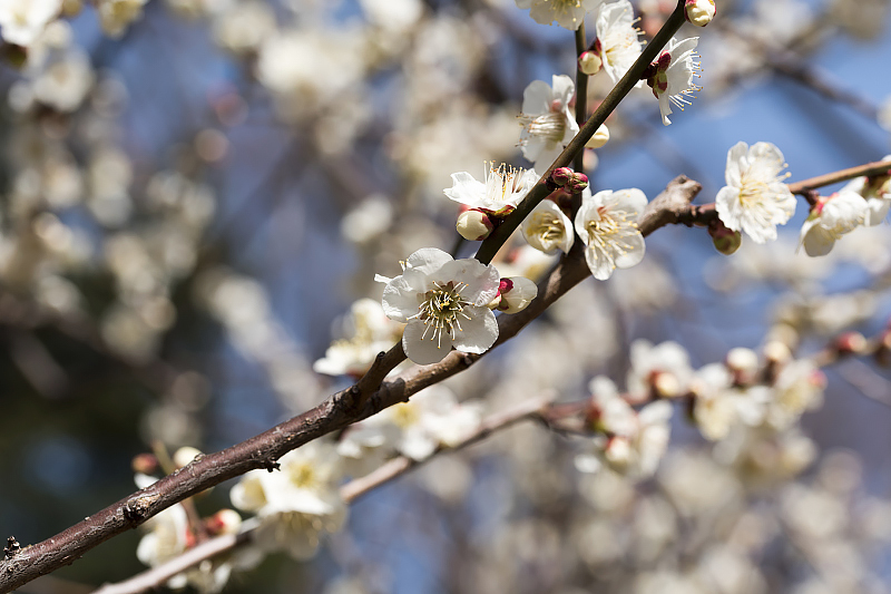 image0365