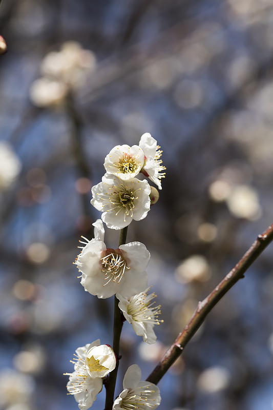 image0367