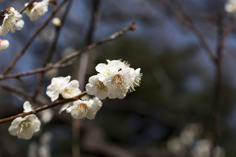 image0372