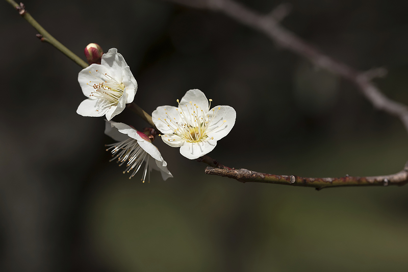 image0373
