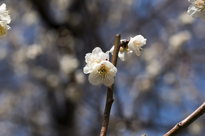 image0375