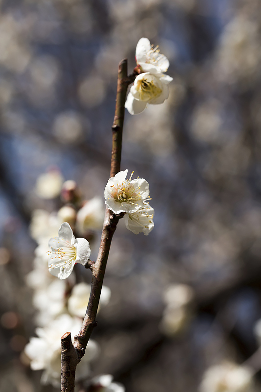 image0378