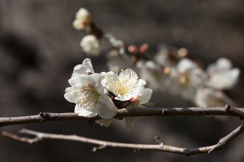 image0380