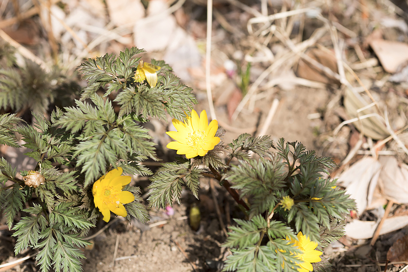 image0382