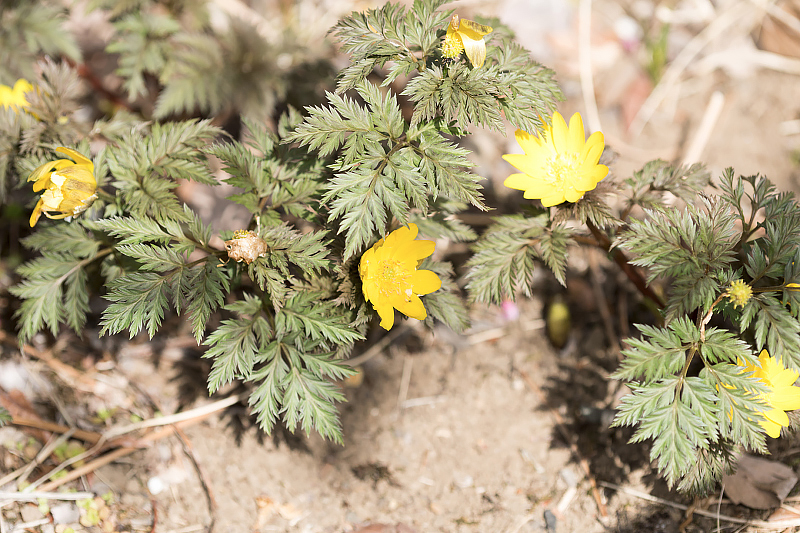 image0383