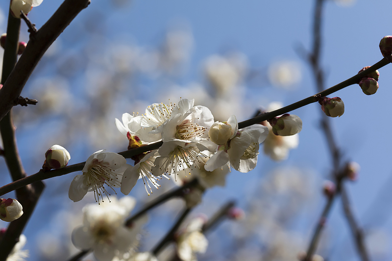 image0385