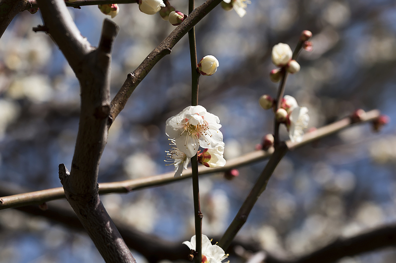 image0386
