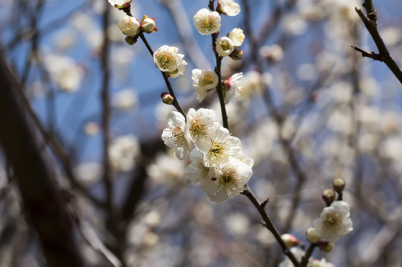 image0388
