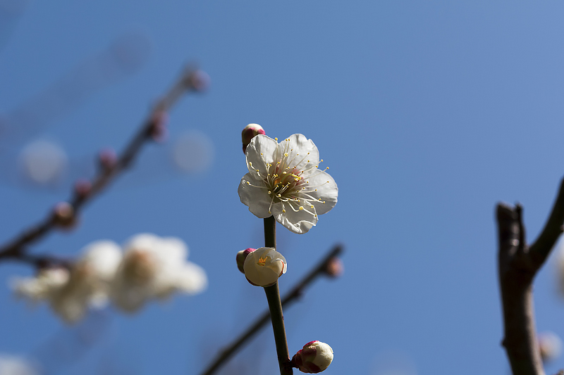 image0392