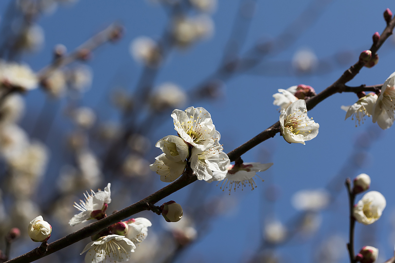 image0393
