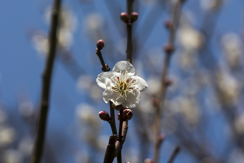 image0394