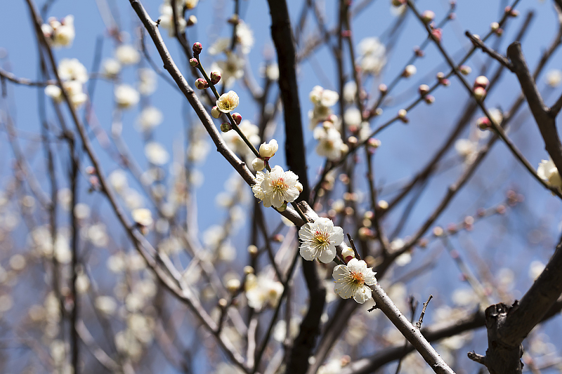 image0400