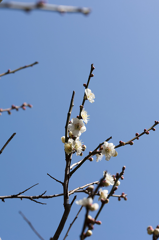 image0404