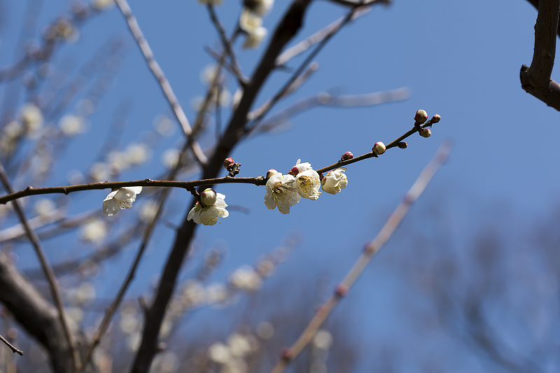 image0405