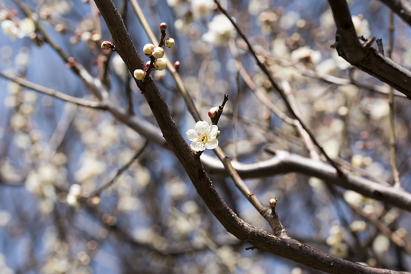 image0406