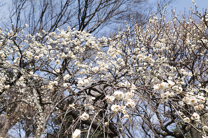 image0407