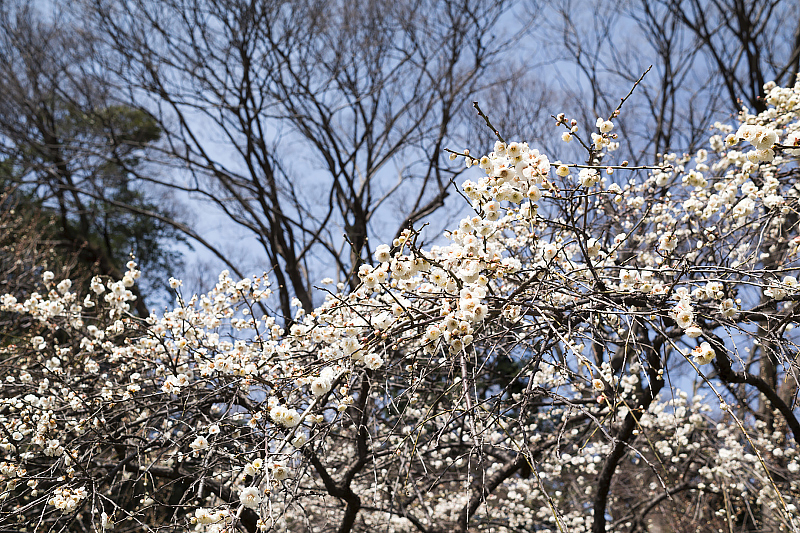 image0408