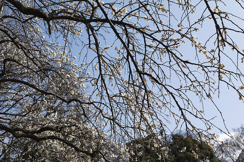 image0412