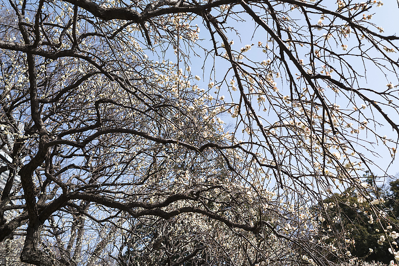 image0413