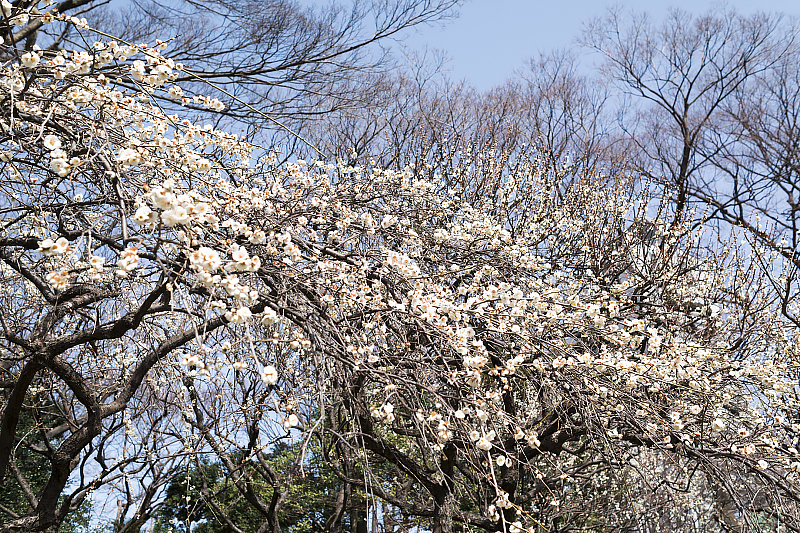image0414