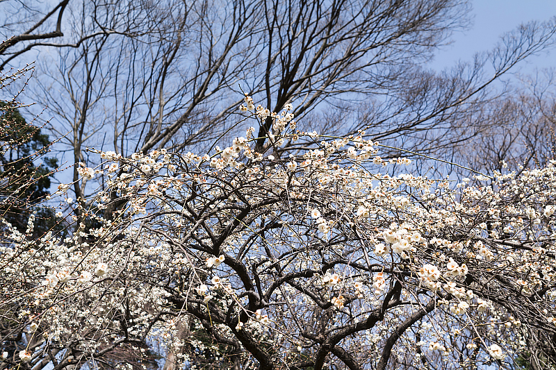 image0415