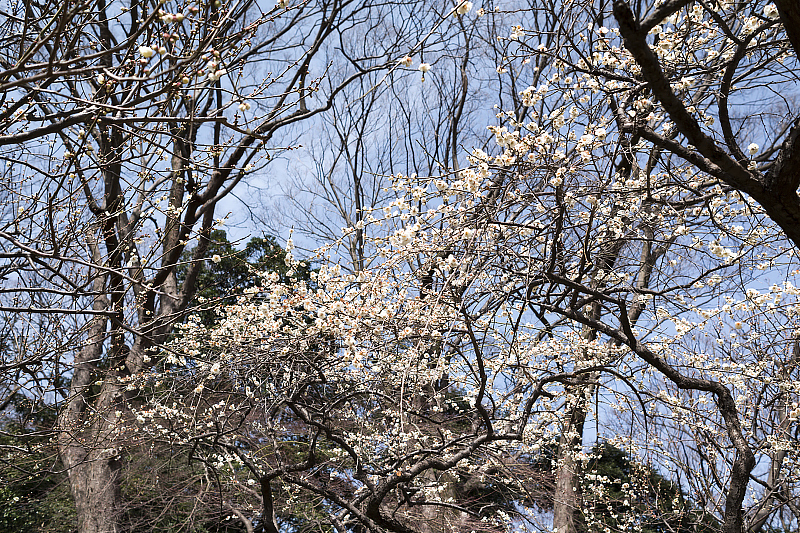 image0417
