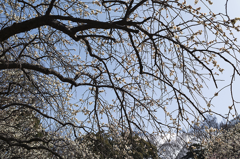 image0418
