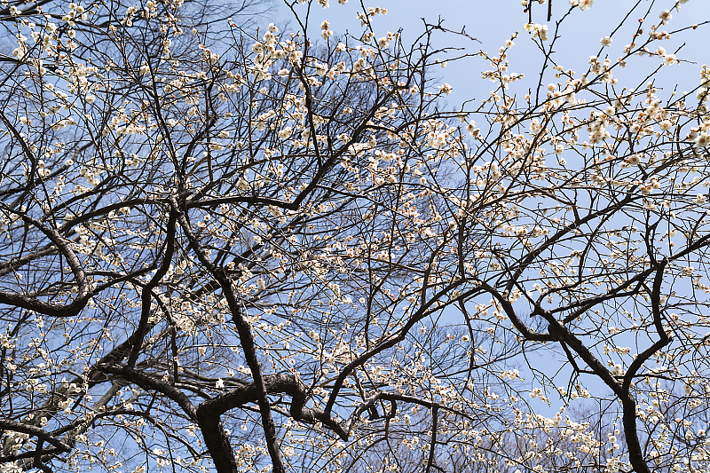 image0420