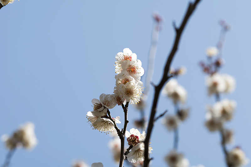 image0422