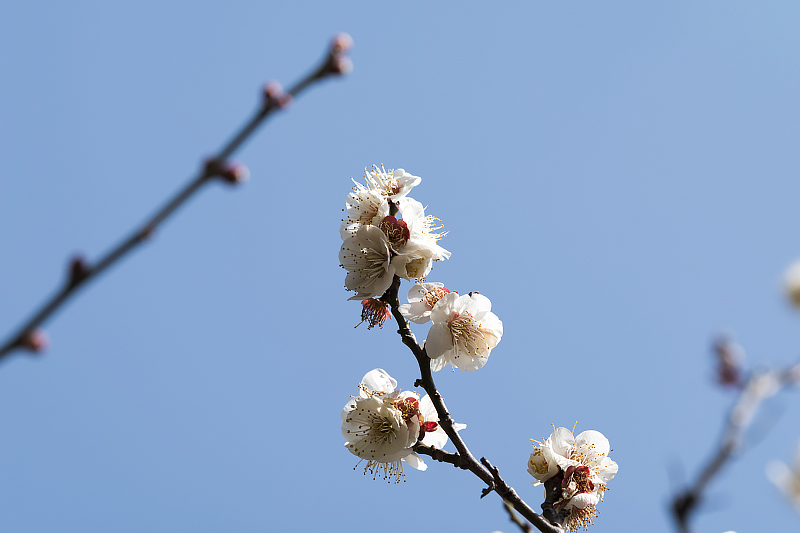 image0423
