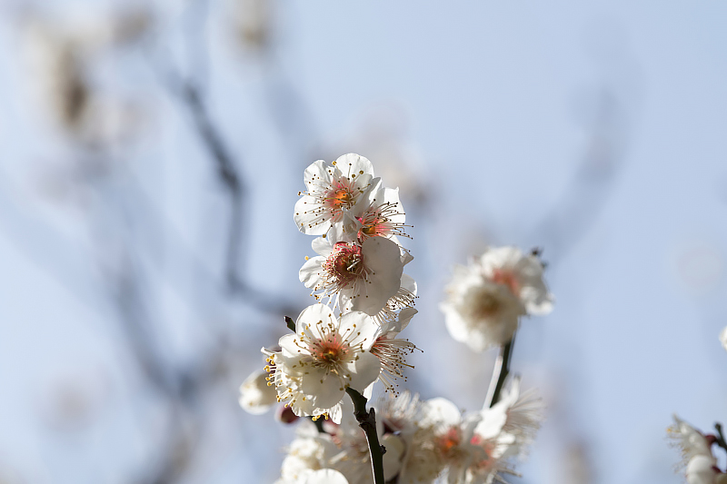 image0425